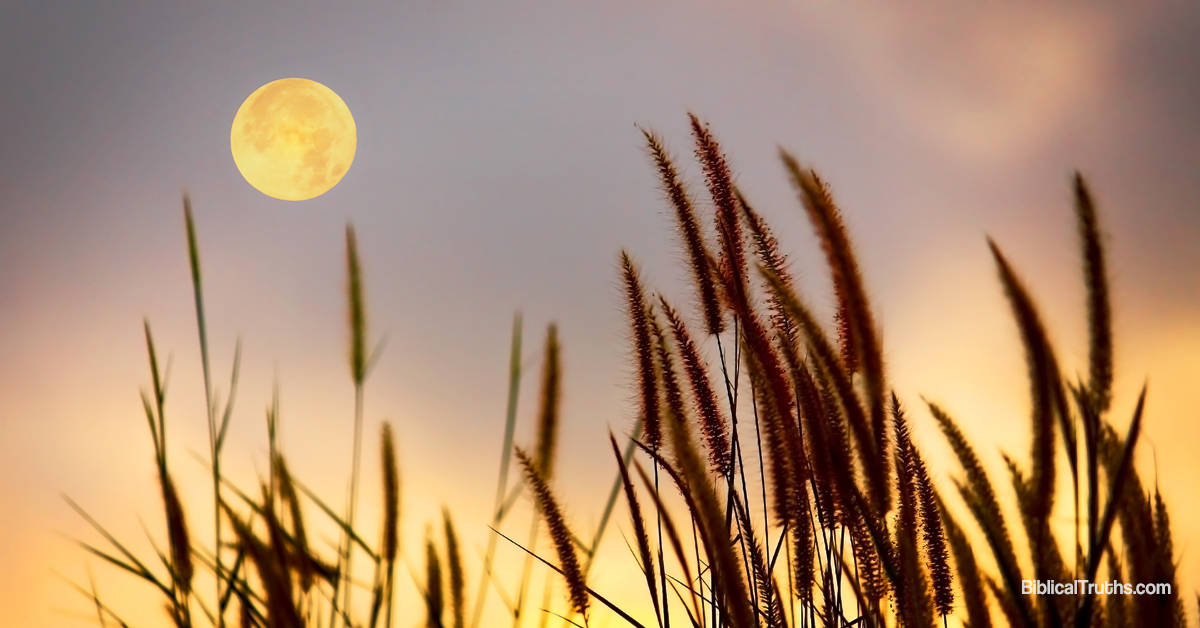 Did Paul Encourage Even the Gentiles to Keep the Sabbath?