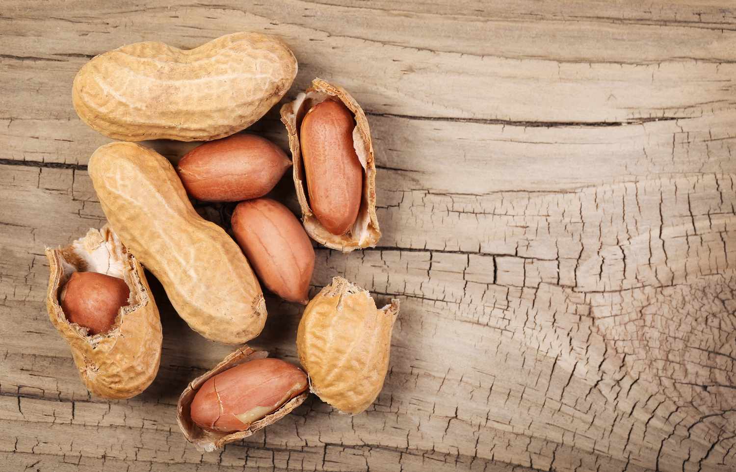 đậu phộng peanuts