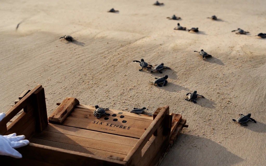 Six Senses Côn Đảo Resort TP Hồ Chí Minh