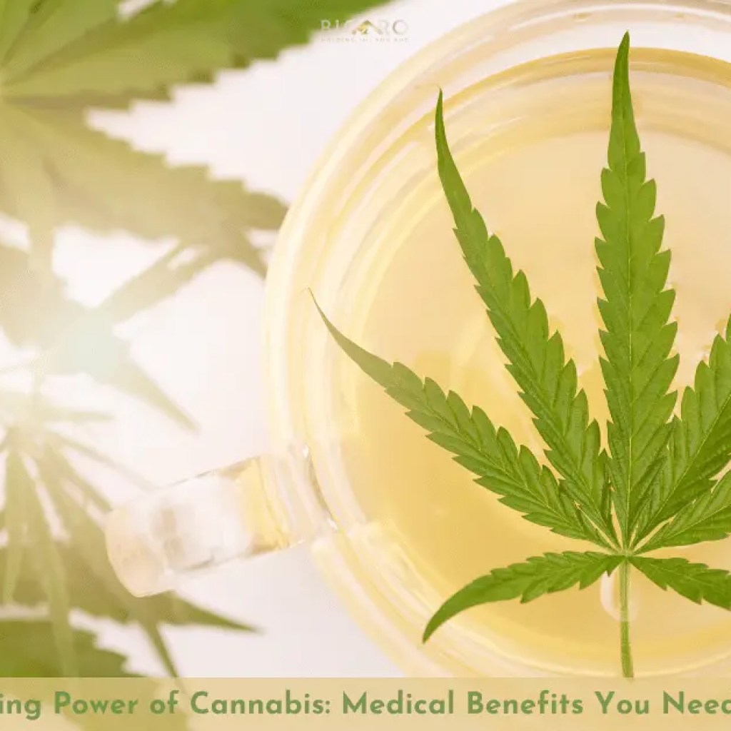 Medical Benefits You Need to Know