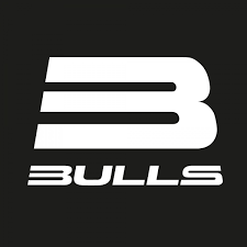 BULLS LOGO