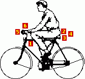 Bicycle Fit