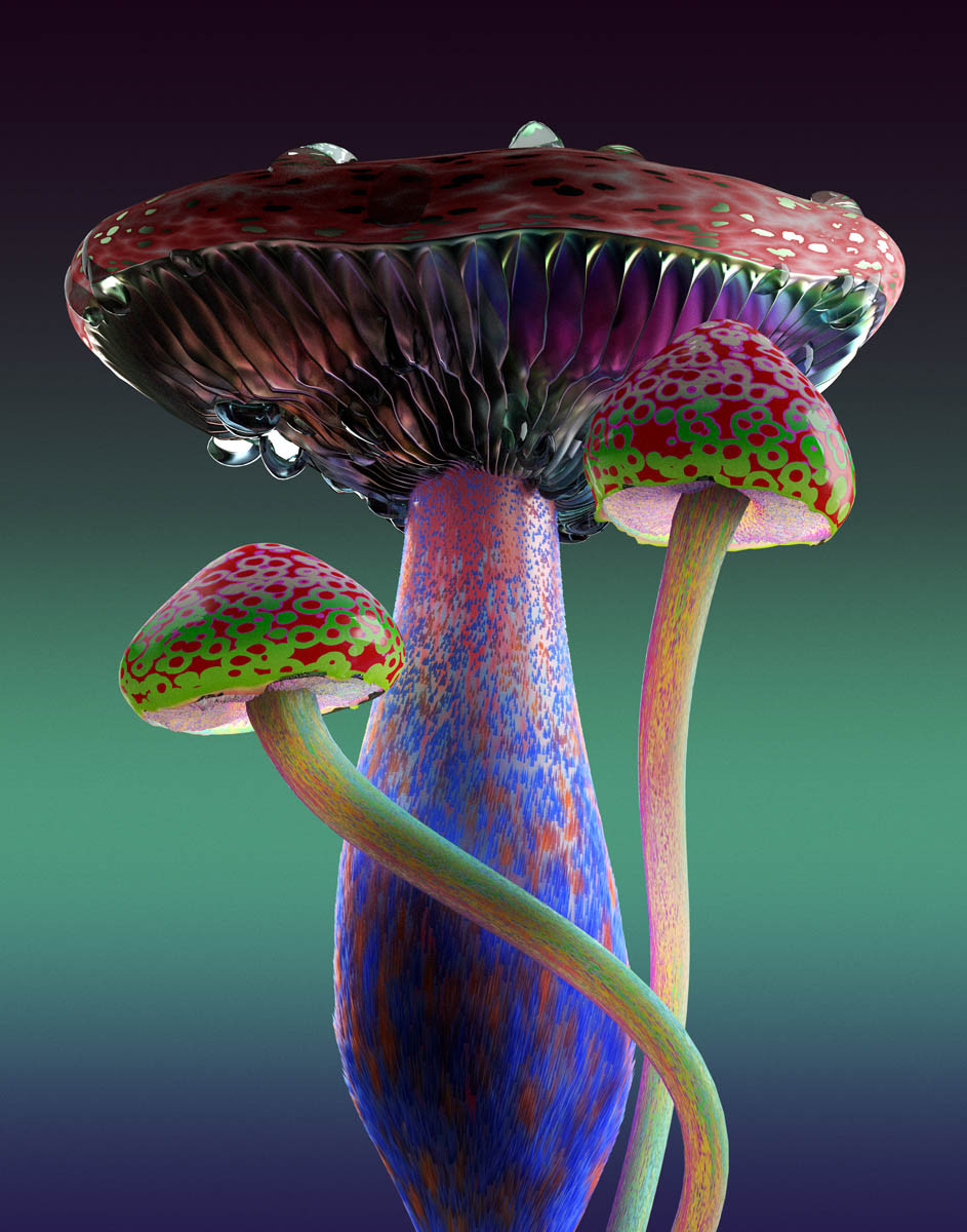 picture Rare Cool Mushrooms big active