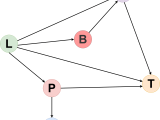 Data Structure Graph Bigboxcode