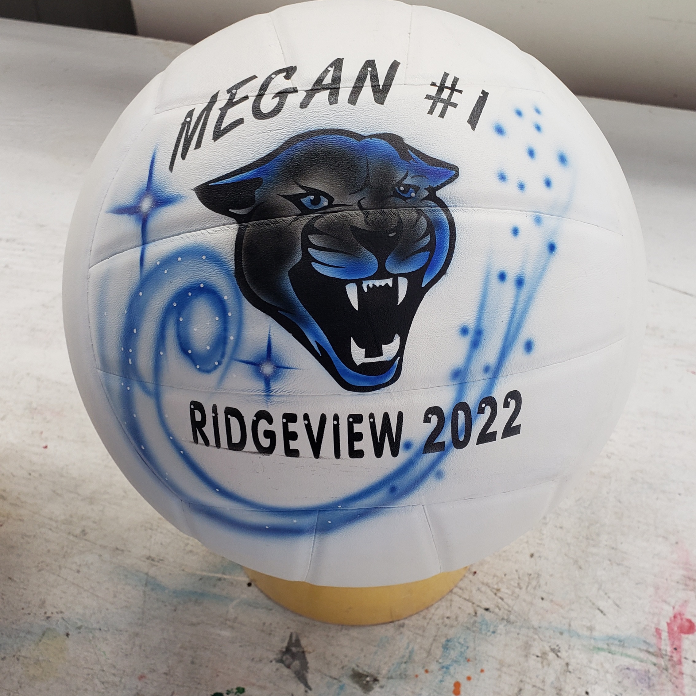 airbrushed volleyball