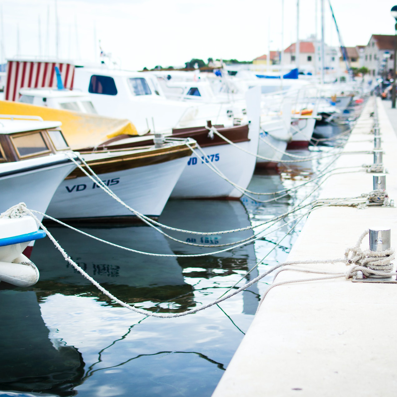 A row of boats tethered to a dock