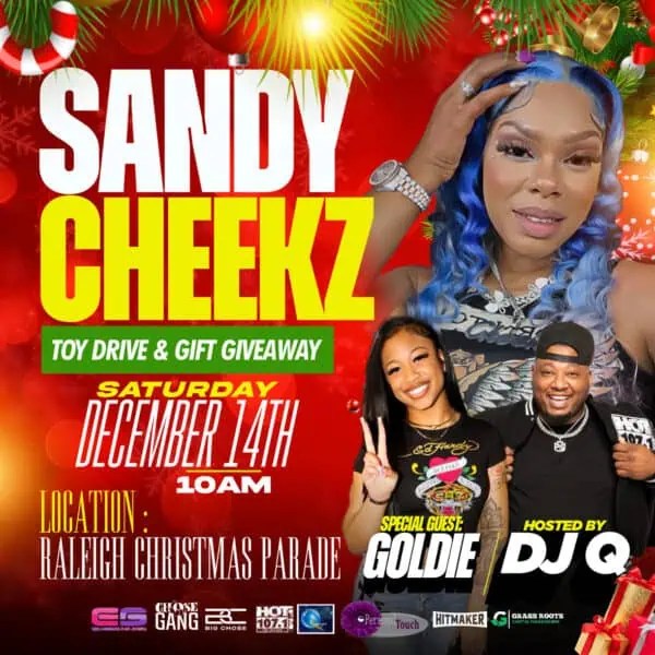 Flyer-Sandy