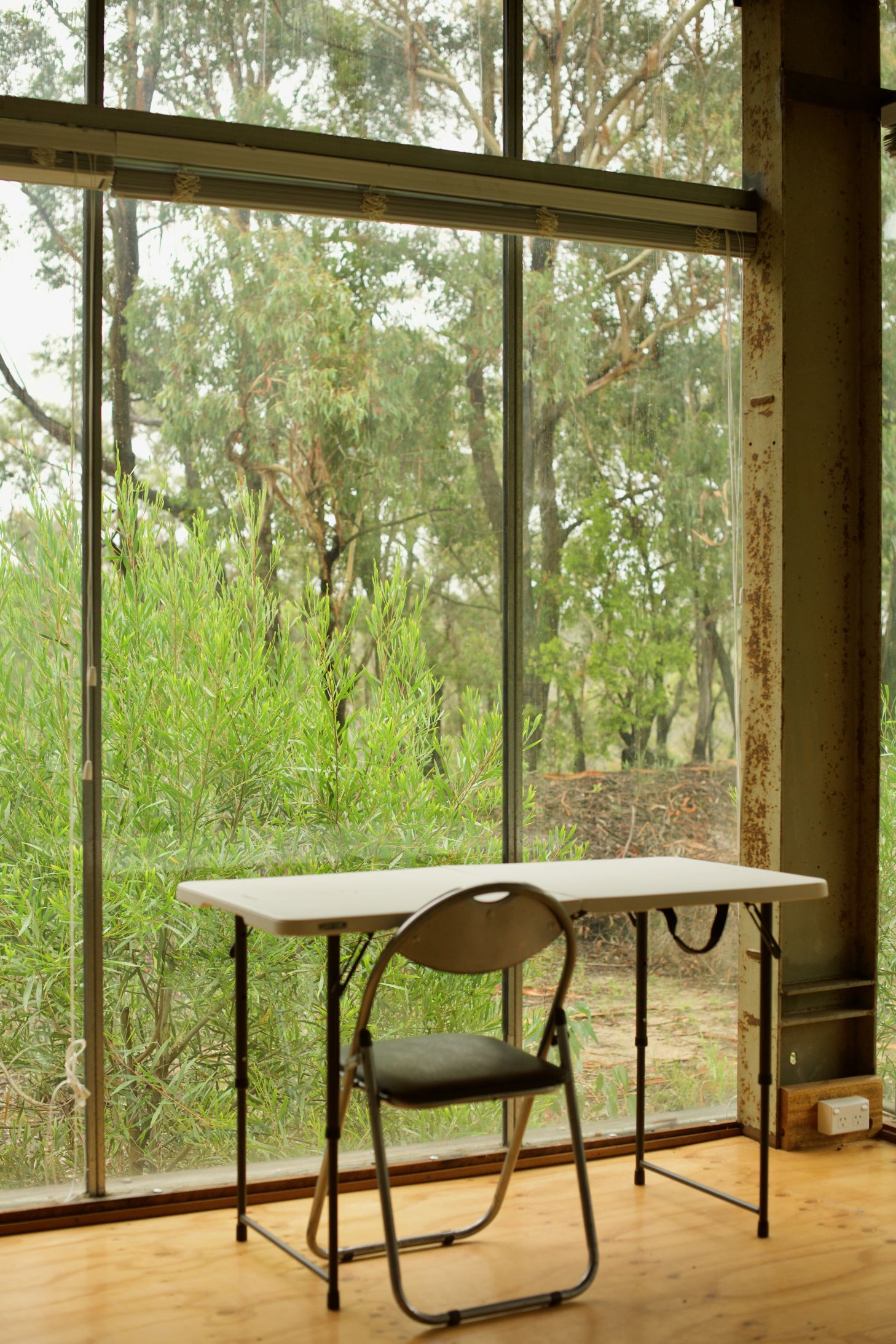 Window into the bush