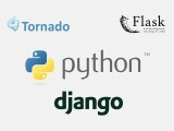 Django Flask And Tornado The Most Popular Python Frameworks And