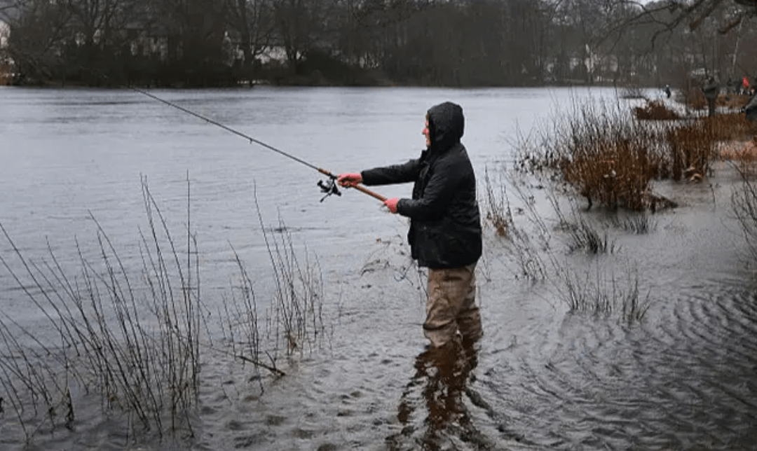 26a Bored denture set in, somehow (12)