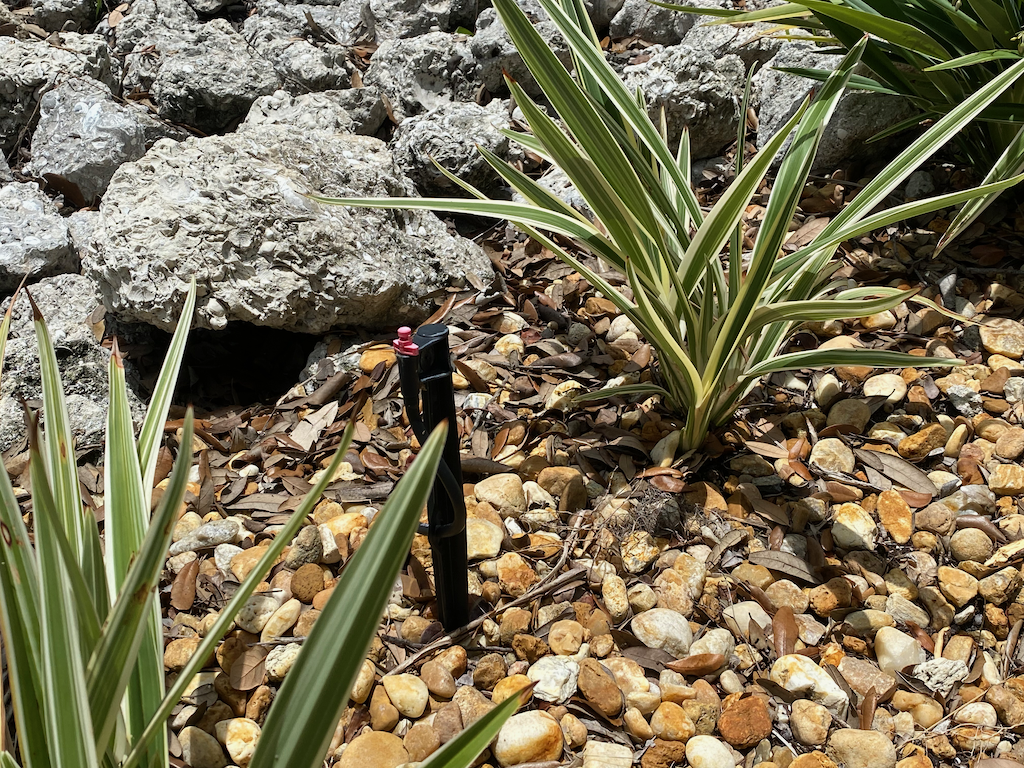 DripLine Watering System
