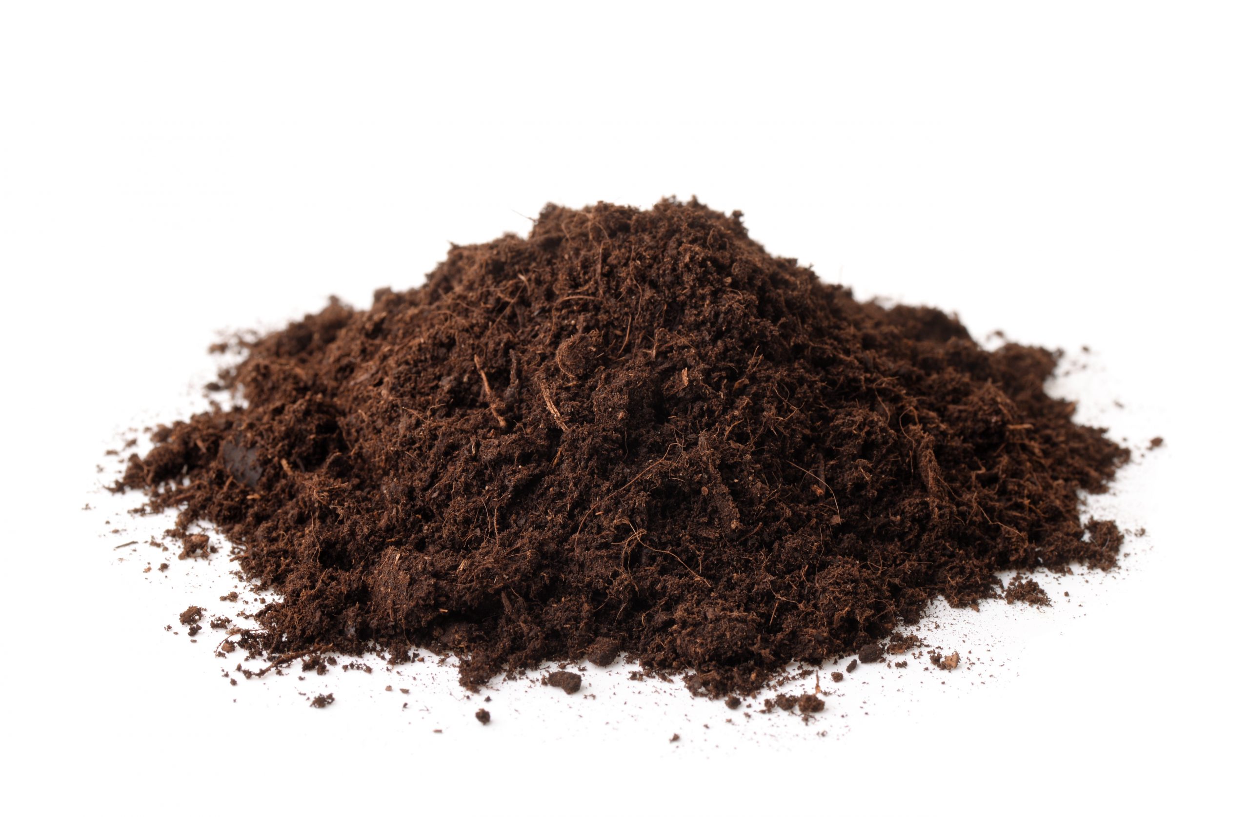 Canadian Sphagnum Peat Moss - 5 Cups - OVER 1/4 gal.