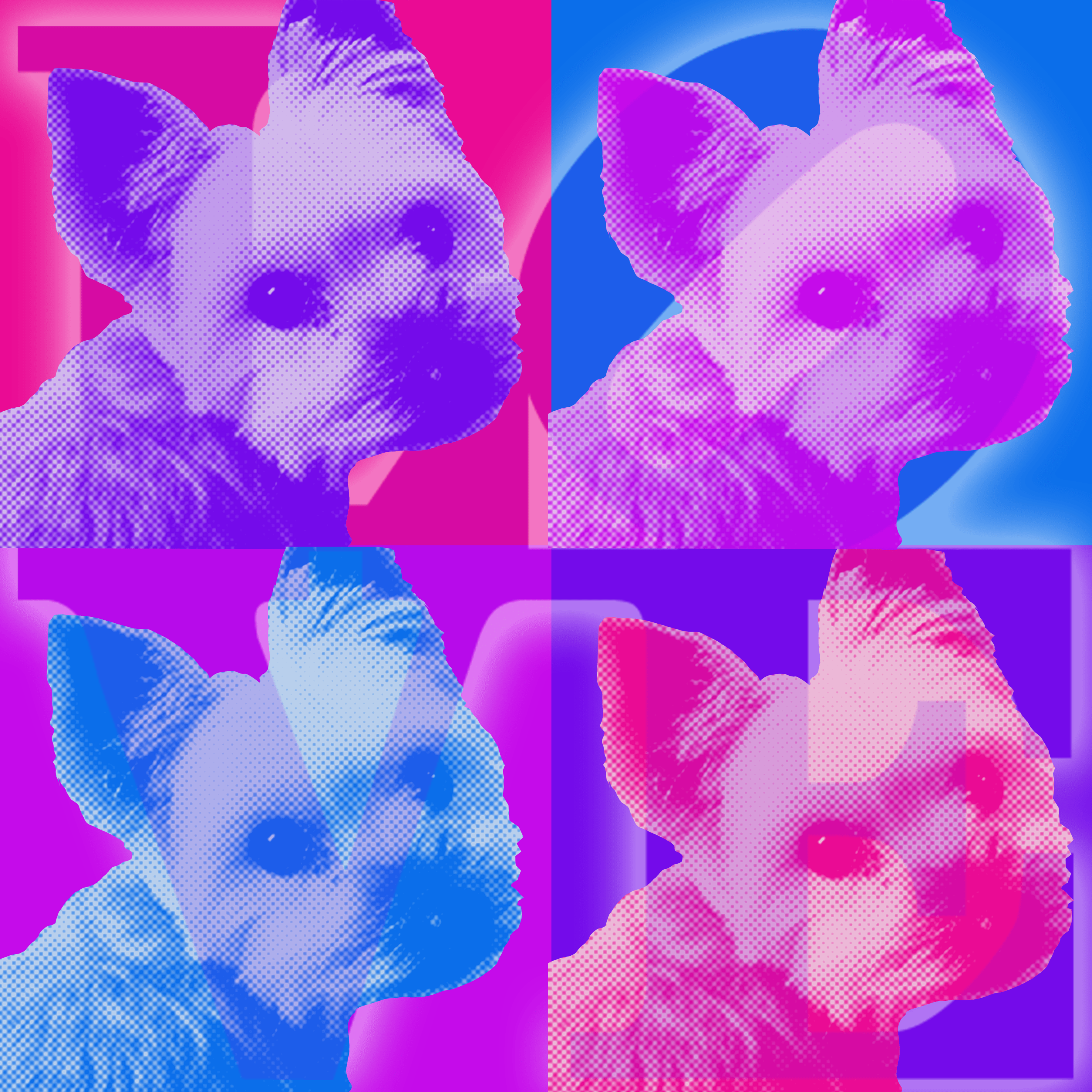 Client: Memorial PawPrint Rascal 2020