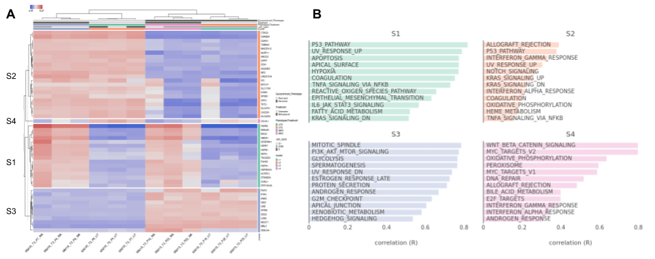 Heatmap and annotation tables for multiple myeloma data