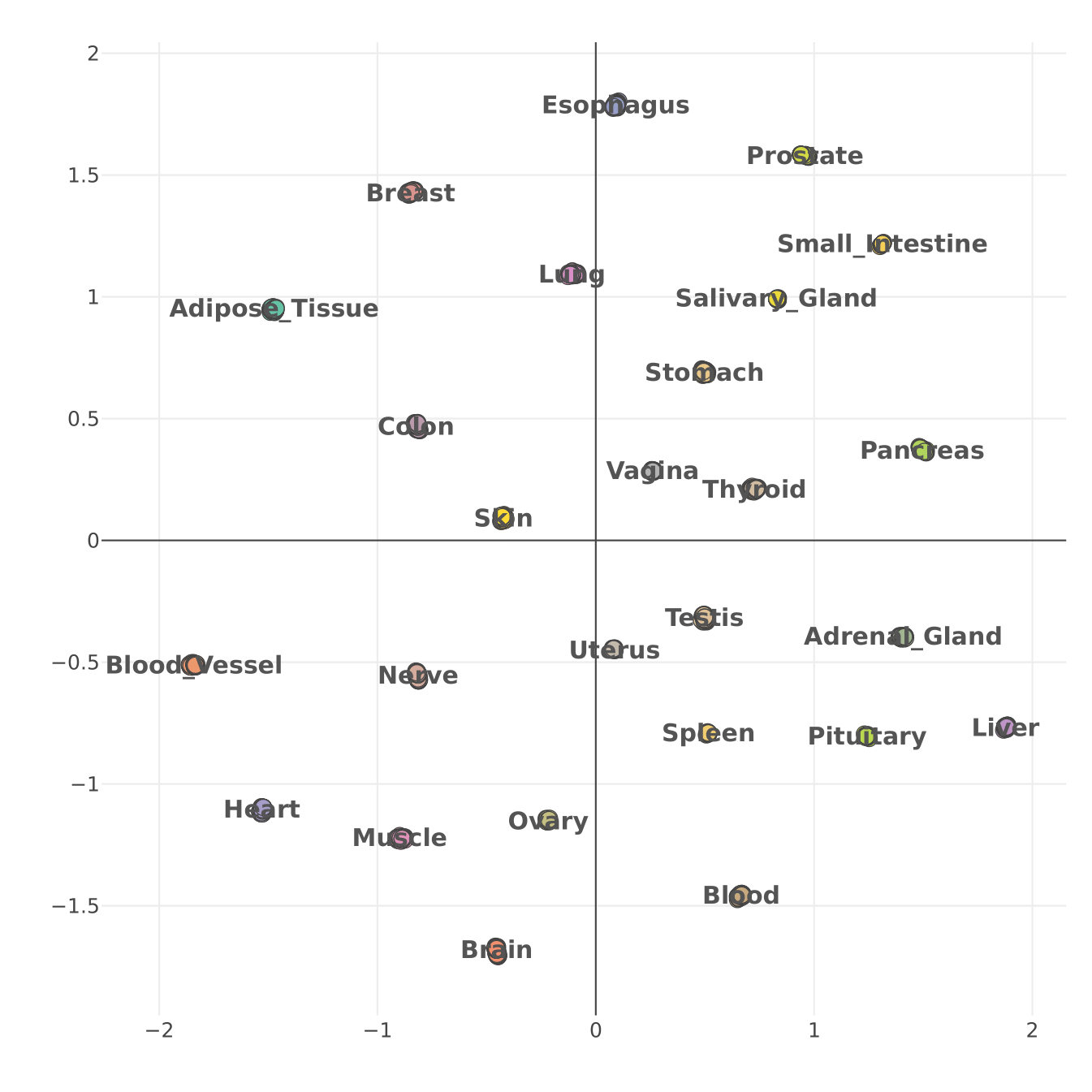 UMAP plot showing the clustering of the samples by tissue type. Differences between tissues are more significant than differences between age groups.