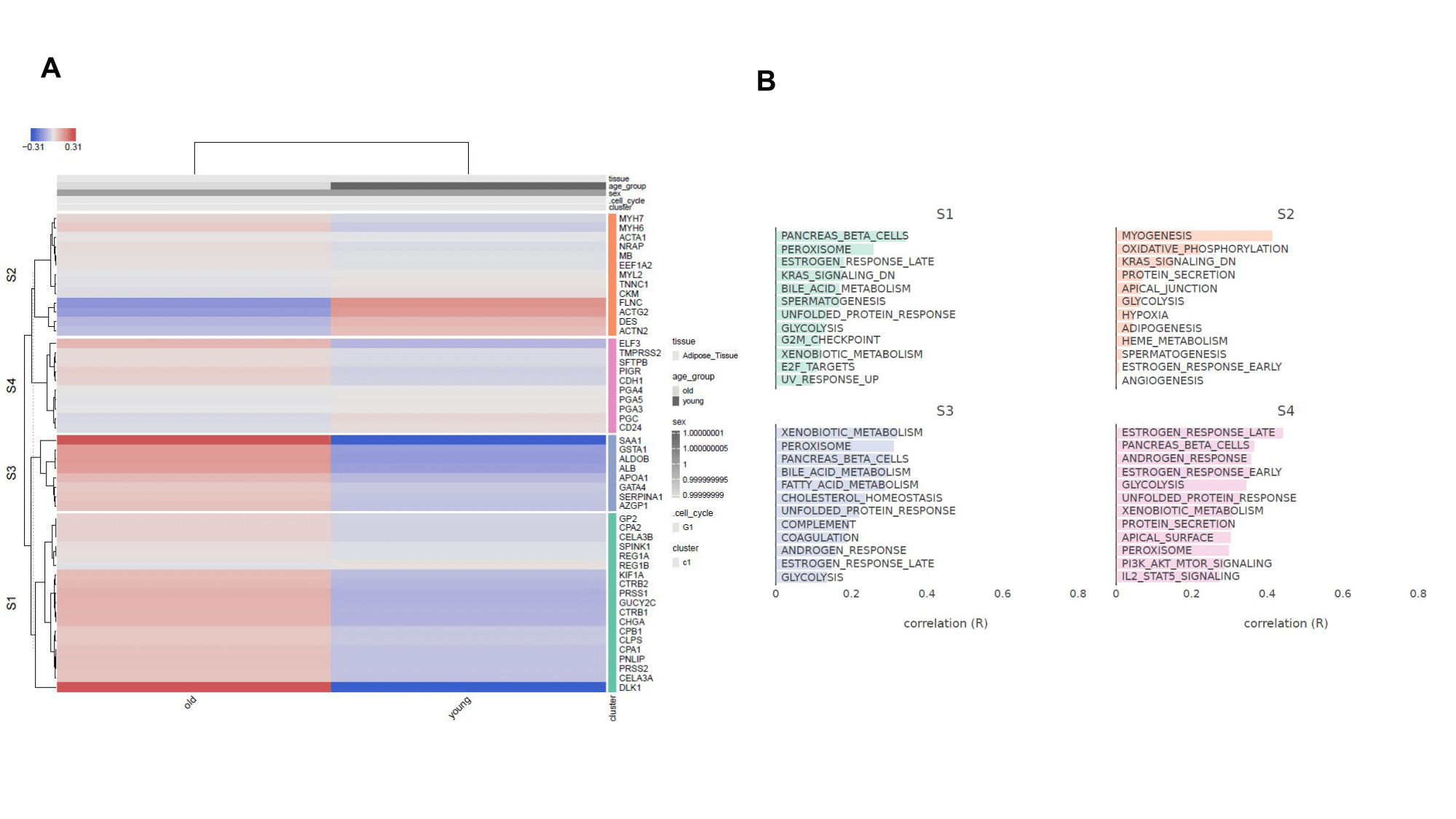 Heatmap of the samples clustered by age