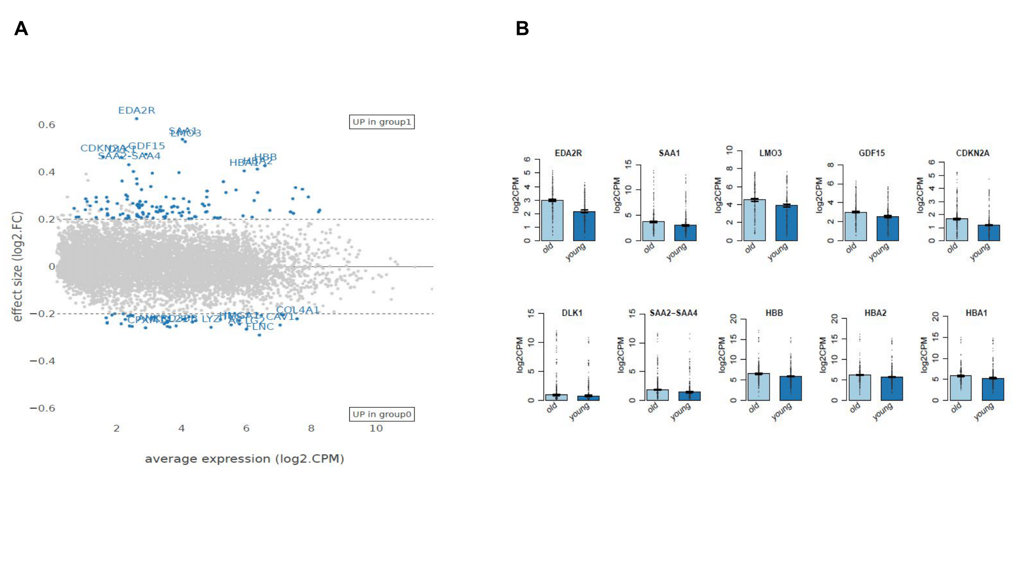 Differential expression analysis showing upregulated genes have been previously identified as biomarkers of aging or linked to aging in various tissues