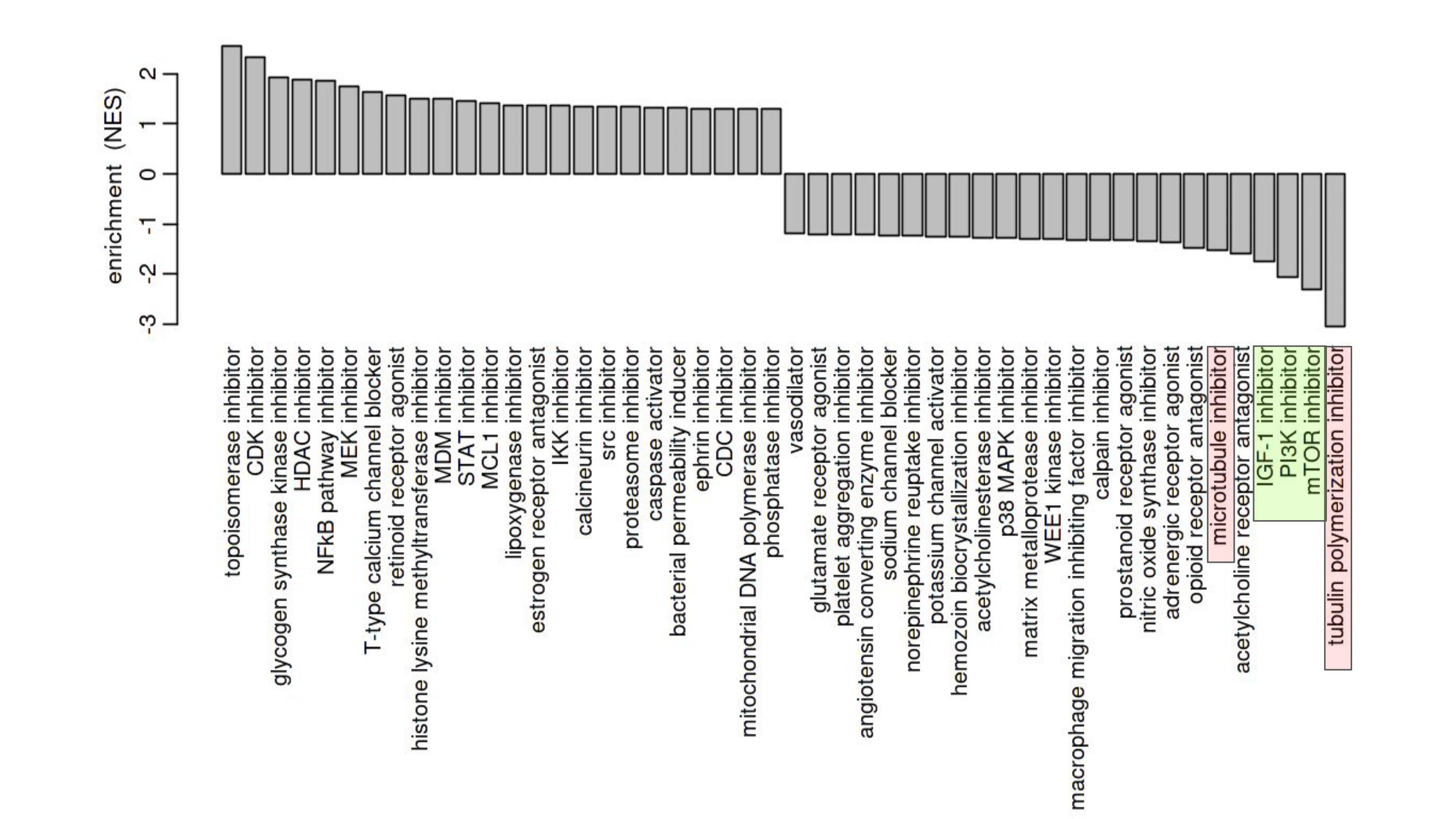 Most common MOA identified during analysis of the combined tissue gene expression profile against genesets from the Drug Connectivity Map L1000 database