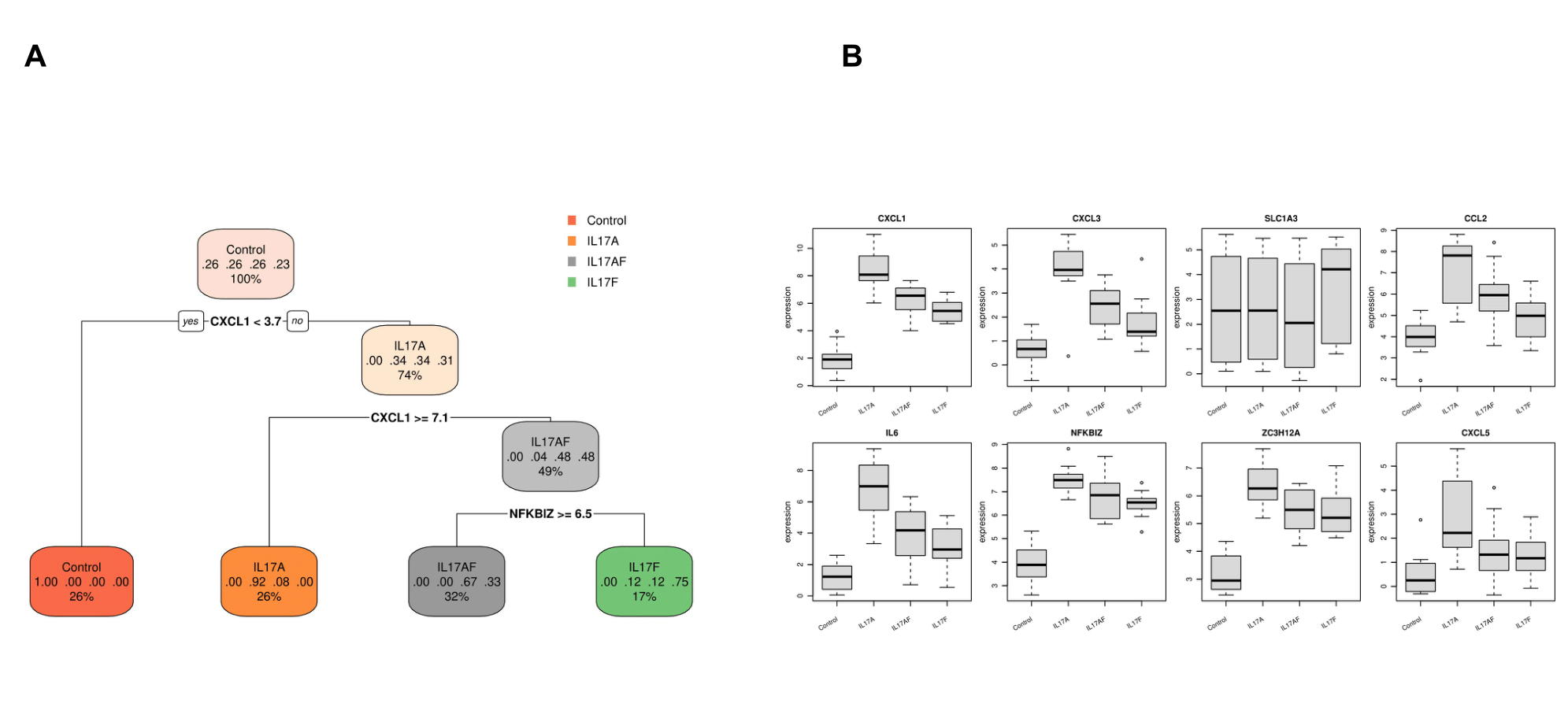 Biomarkers discovery. A: One of the possible decision trees for identifying biomarkers distinguishing the various sample groups in the dataset. B: Expression boxplots of the potential biomarker genes identified by the platform. Omics Playground by BigOmics