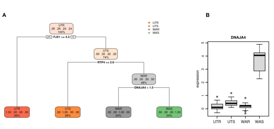 Biomarkers in multiple myeloma dataset