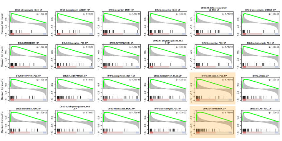 Figure 6. 24 most positively correlated drug expression profiles to WA treatment in the GC-resistant cell line by q-value. Matches with two public WA datasets (highlighted in orange) are present.