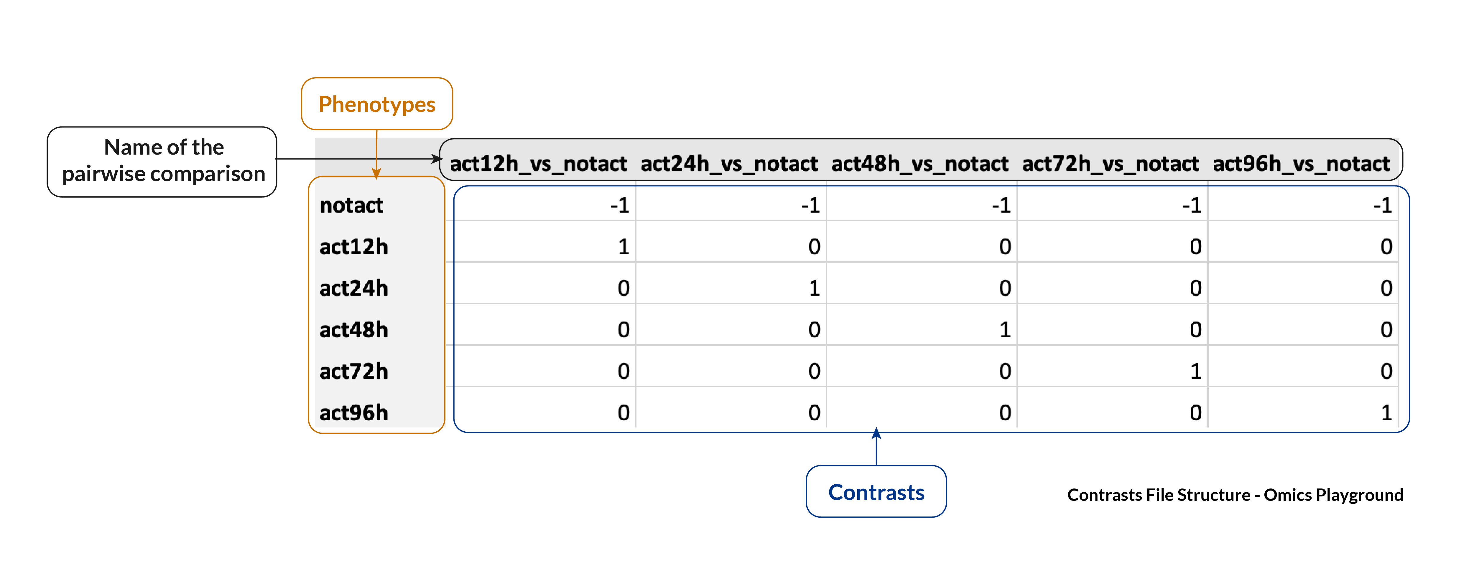 Contrasts file required to analyze your RNA-Seq and proteomics data with Omics Playground