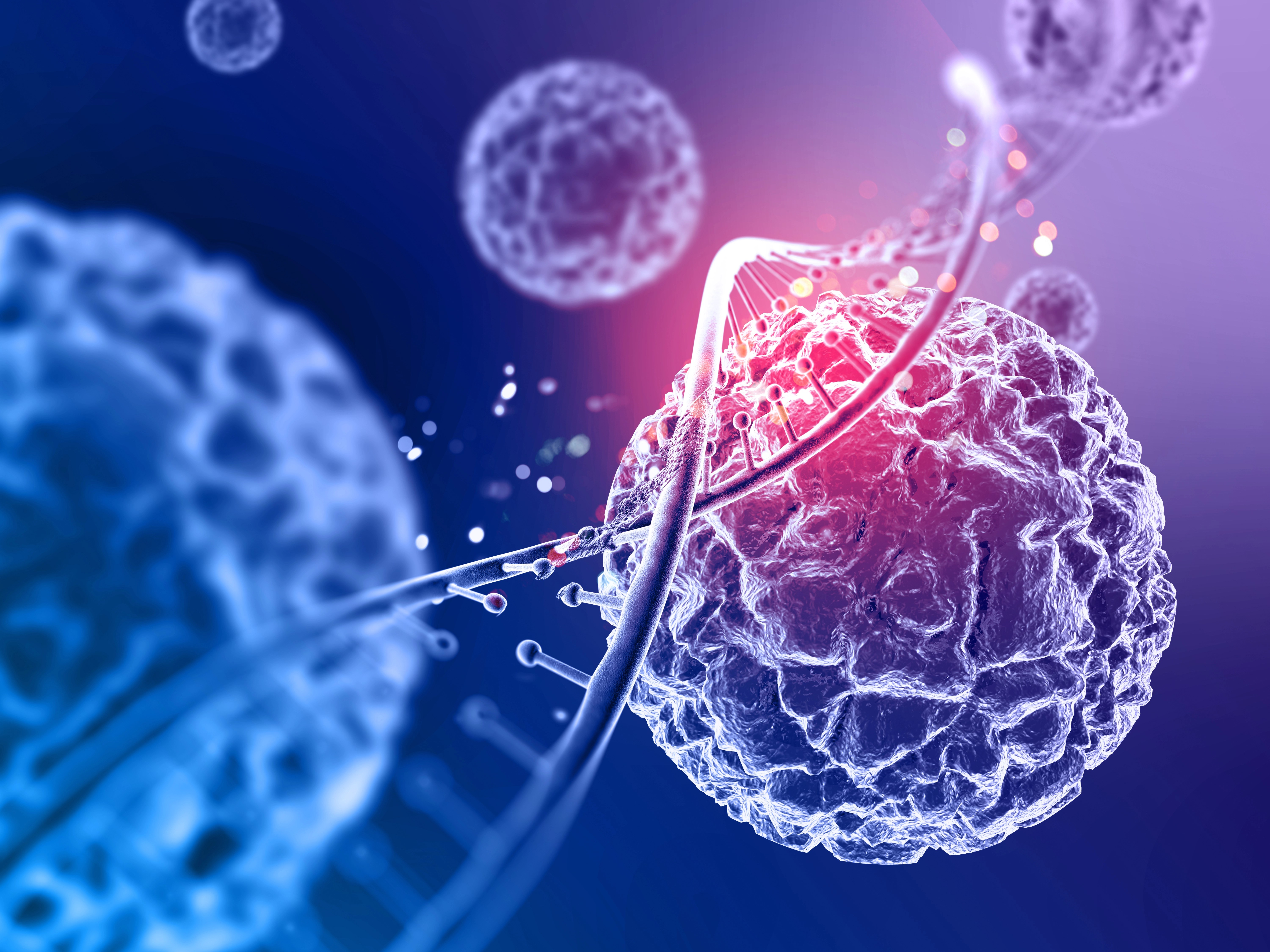 DNA and cells