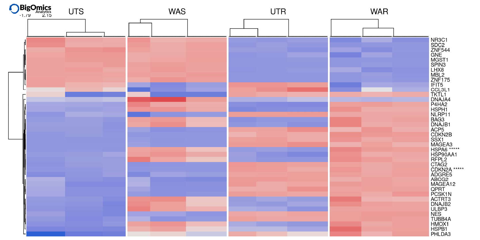 Heatmap plot in the Biomarkers tab Omics Playground.