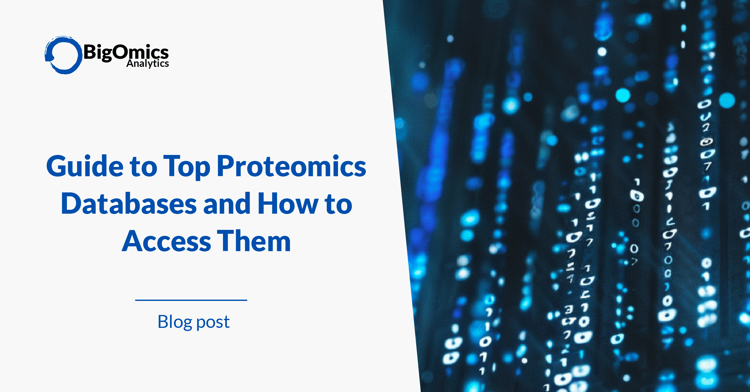 Guide to Top Proteomics Databases Blog Post Thumbnail Image BigOmics Analytics