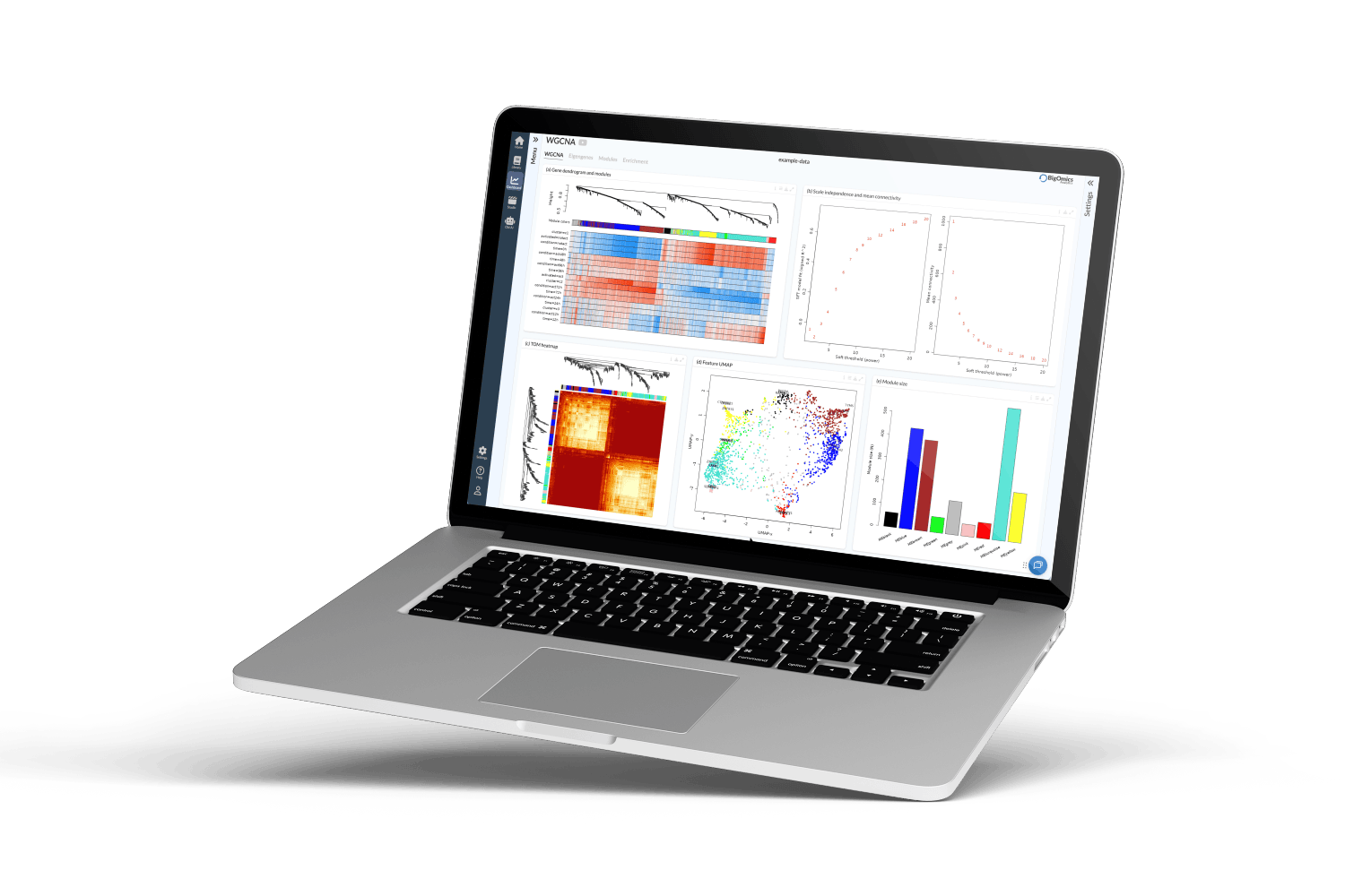 Omics Playground 5