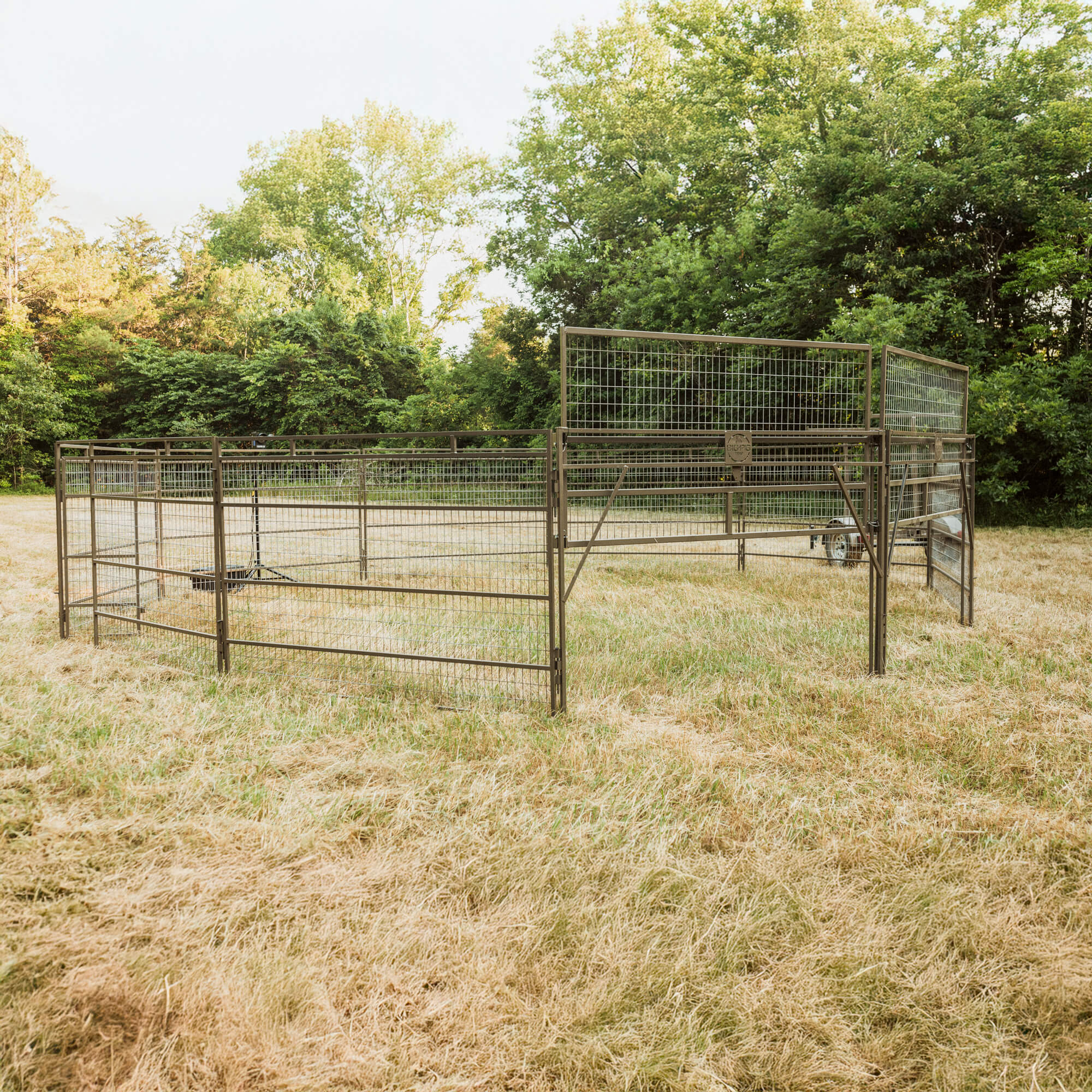 Panel Trap W Hogeye Camera Big Pig Traps