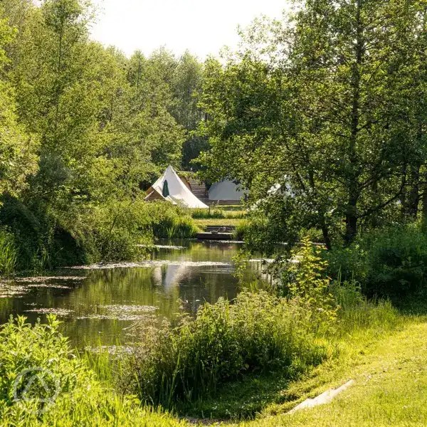 Deer's Glade Caravan & Camping Park