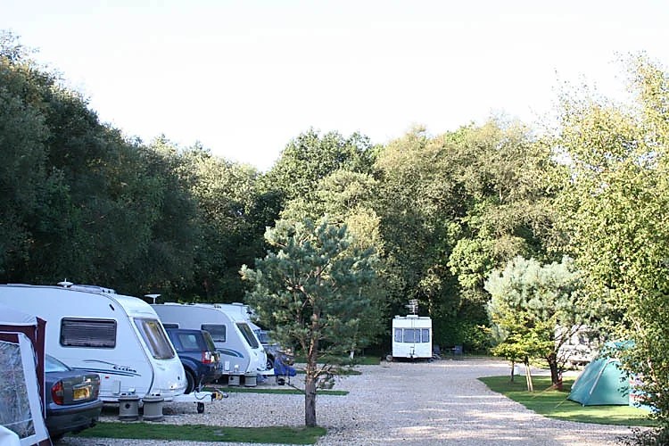 Wareham Forest Tourist Park