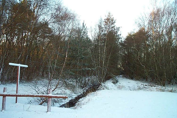 Wareham Forest Tourist Park
