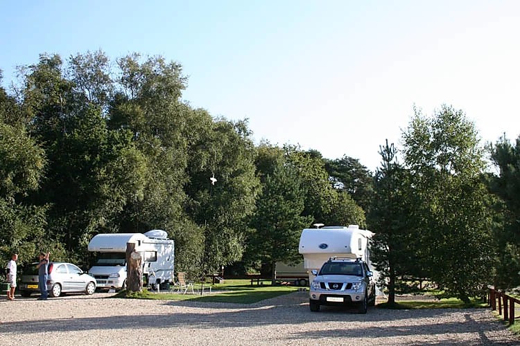 Wareham Forest Tourist Park
