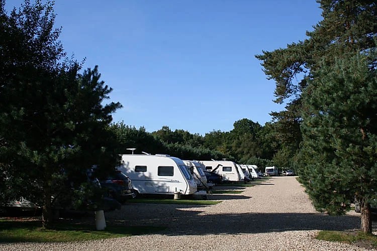 Wareham Forest Tourist Park