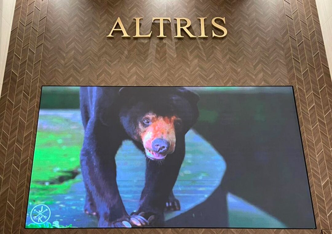 Indoor LED Screen at Altris Sales Gallery