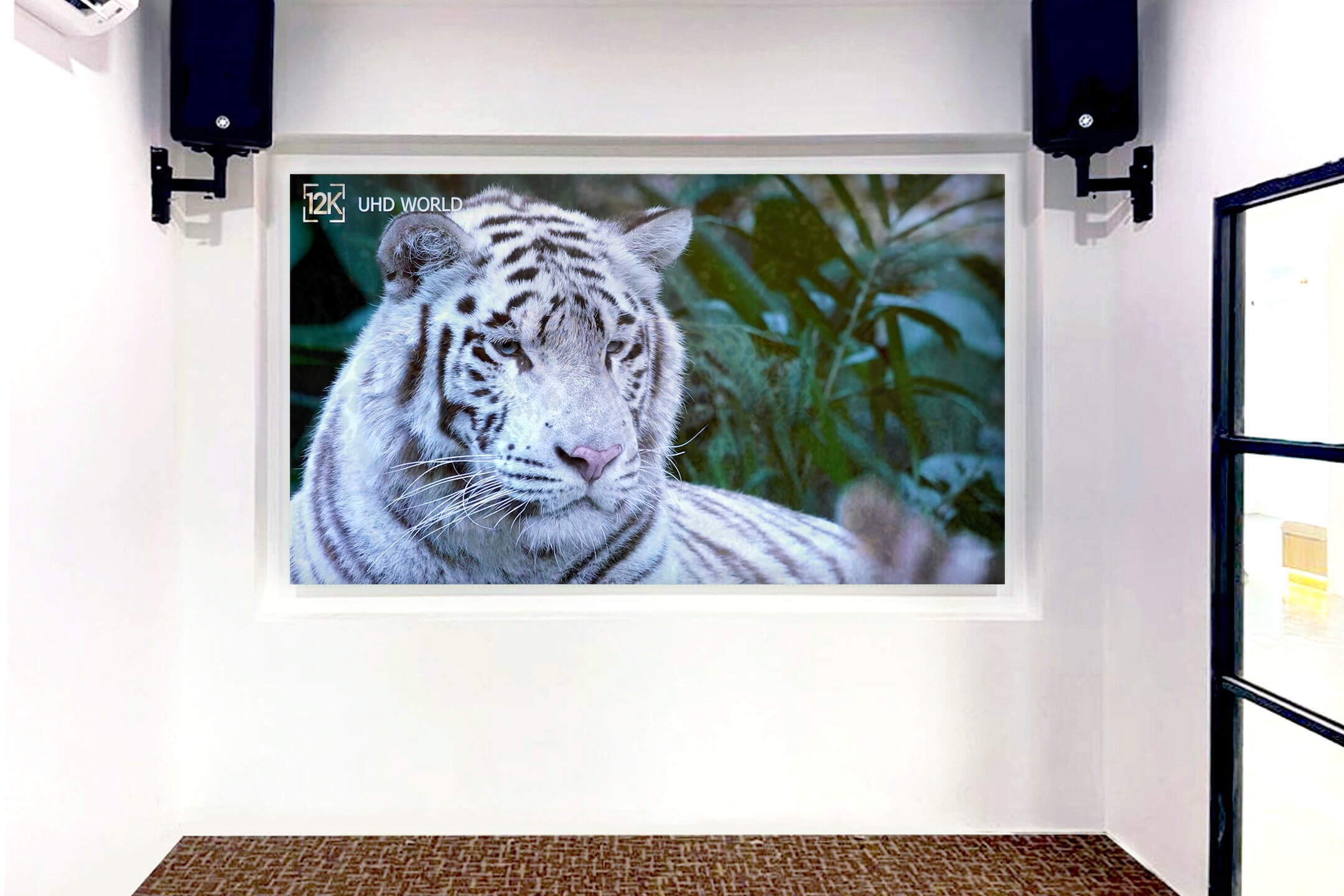 Indoor LED Screen at Zen Nusra Group