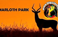 Recordando uma viagem por terras de África (3) – “Fim de semana em Marloth Park”!