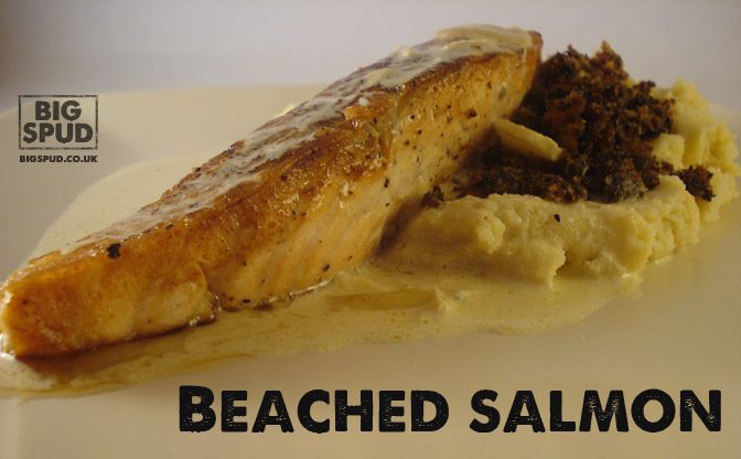 beached salmon recipe