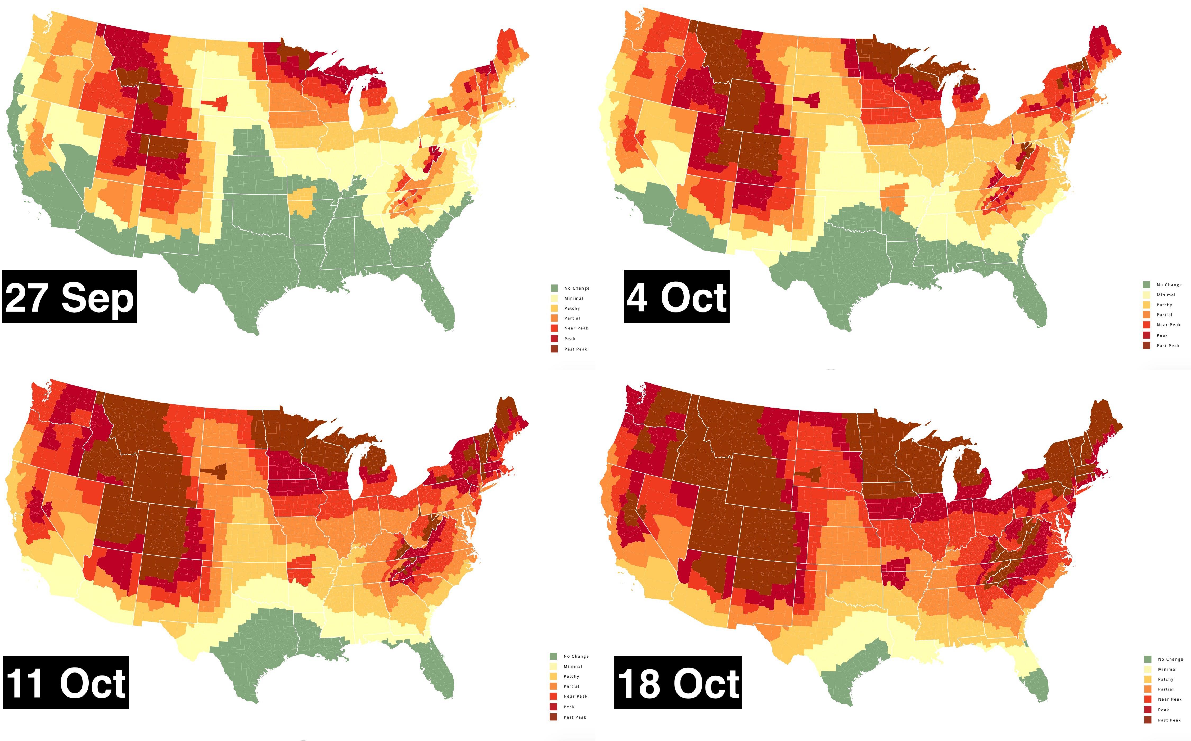 Peak Foliage Map Where And When Are Leaves Changing Color Big Think 27368598 