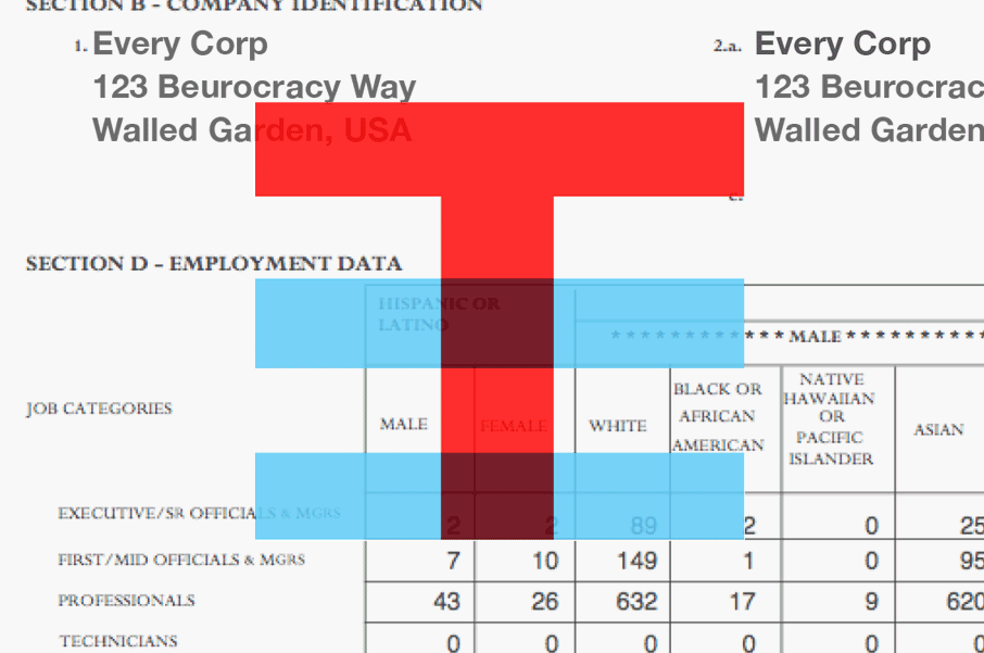 A collage showing a redacted EEO-1 document, with the EqualTogether logo mark layered on top. The "T" of the logo-mark is red, and the "=" sign is in cyan.
