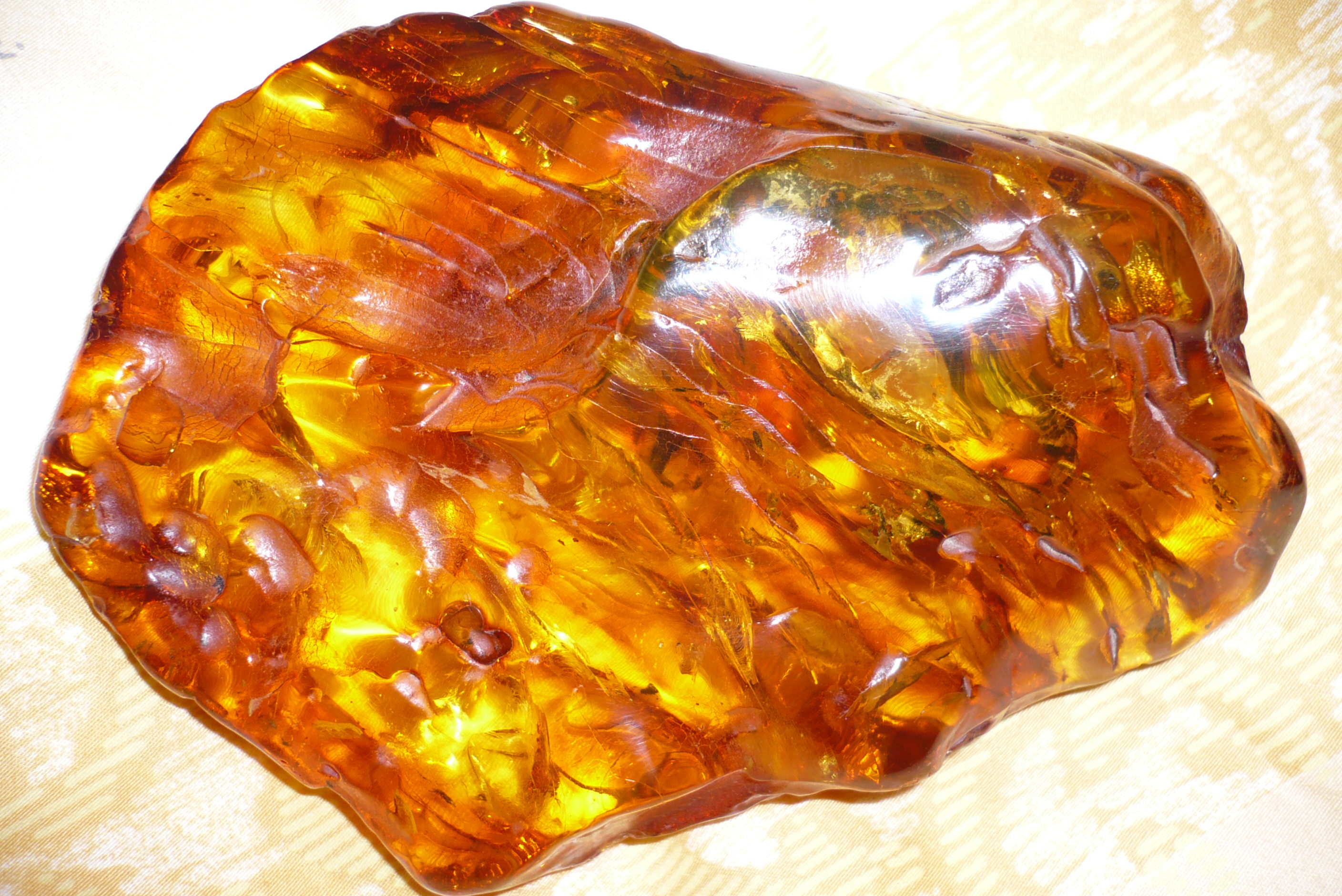 Bernstein kringle at john rosado blog