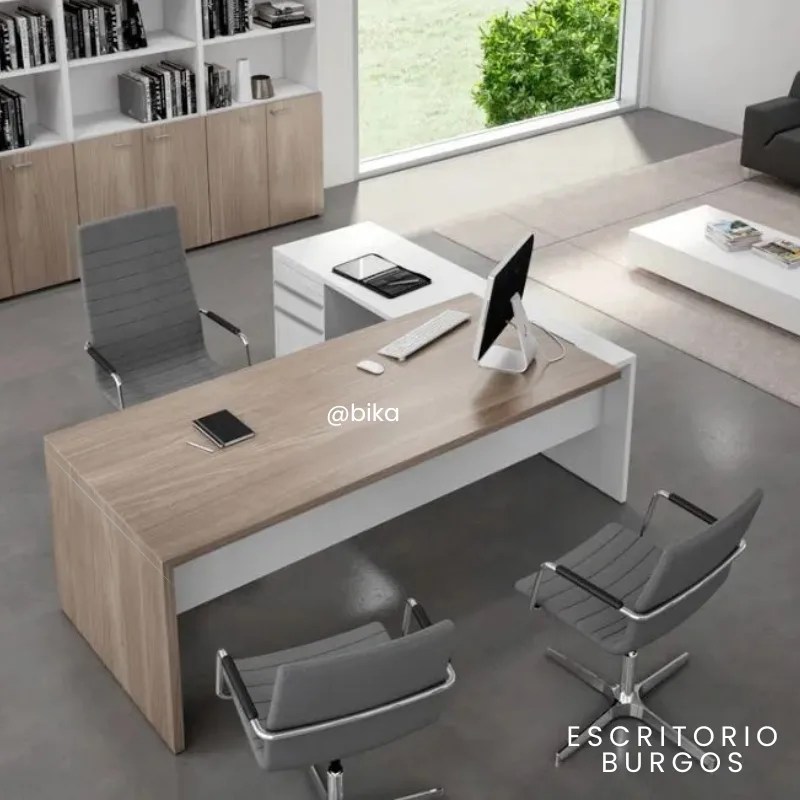 ESCRITORIO GERENCIAL BURGOS