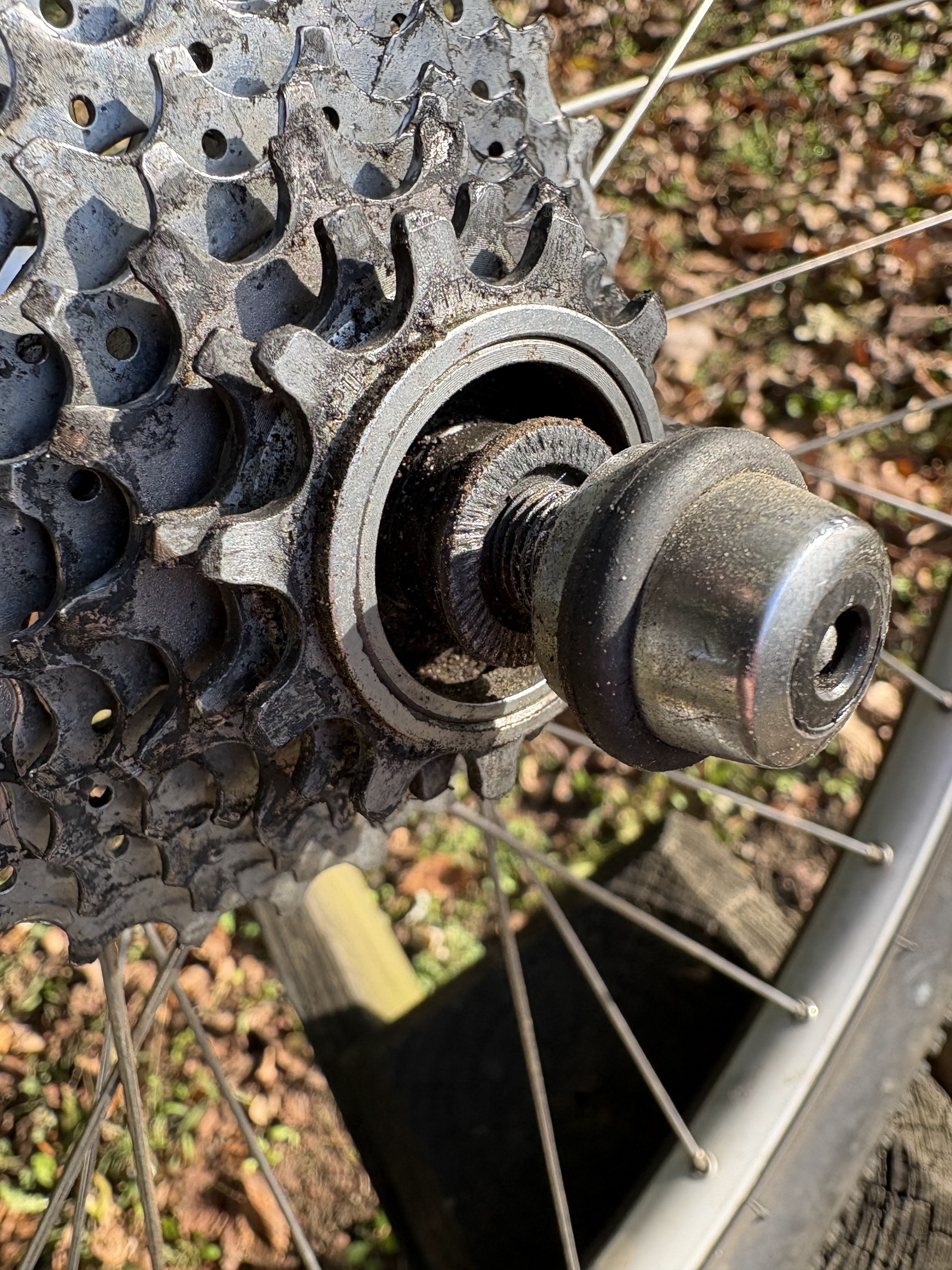 Winners And Losers – Bike Snob NYC