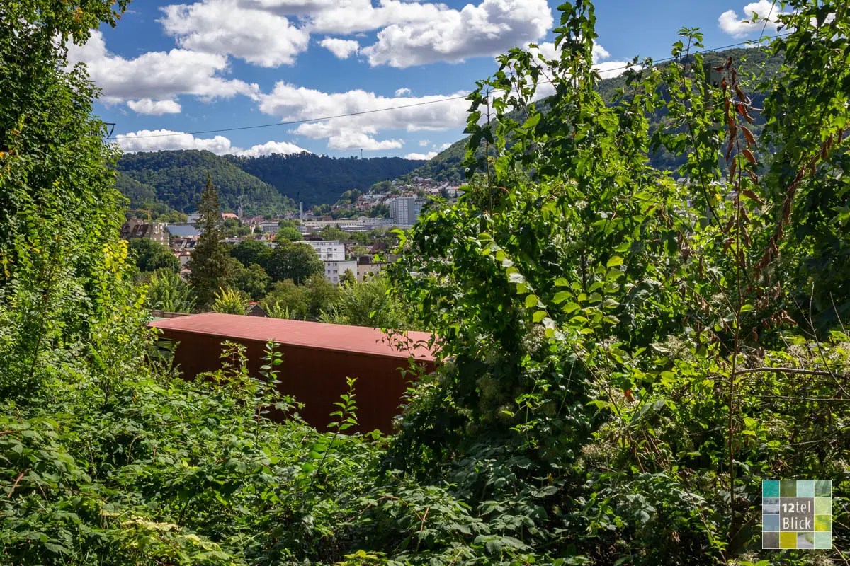 12tel Blick im August