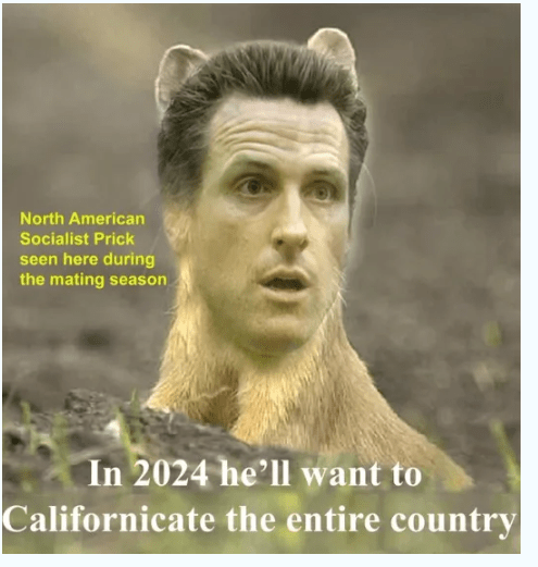 Californicate The Country