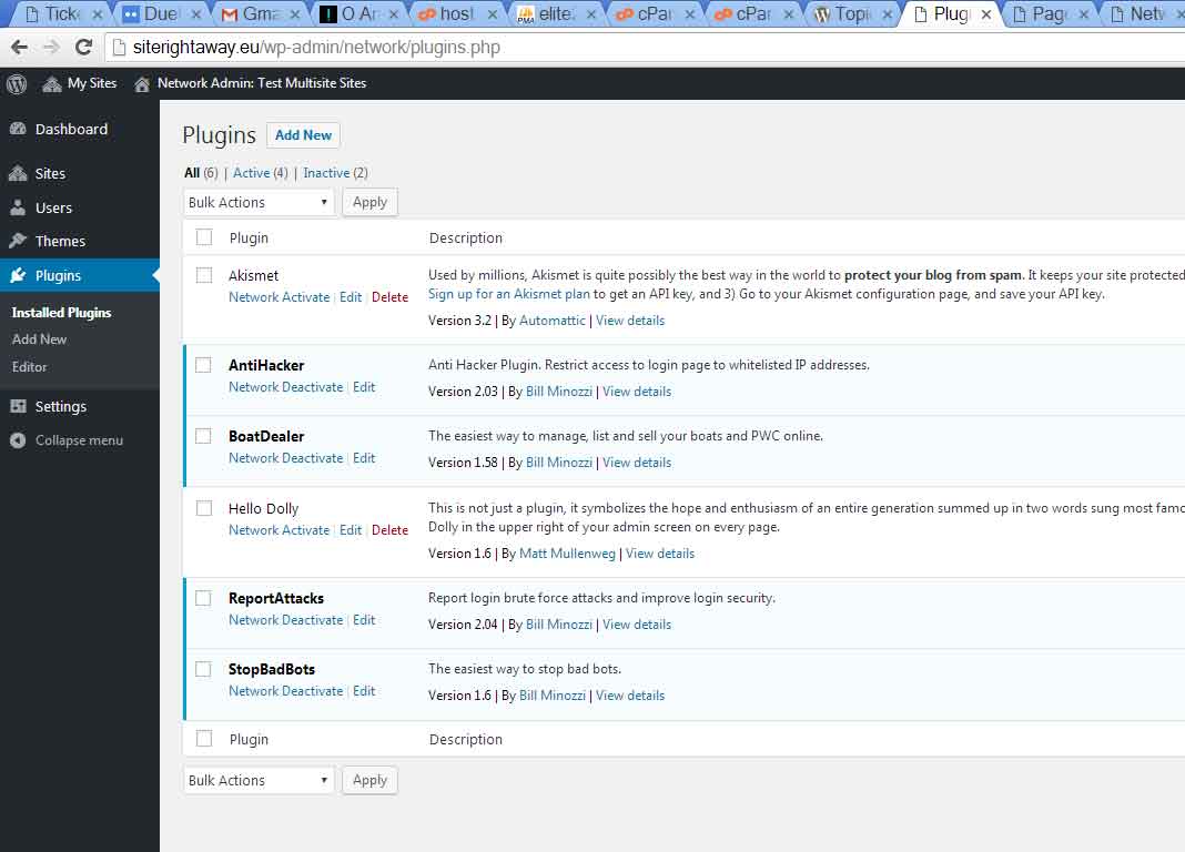 test multisite