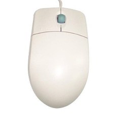 Computer Mouse