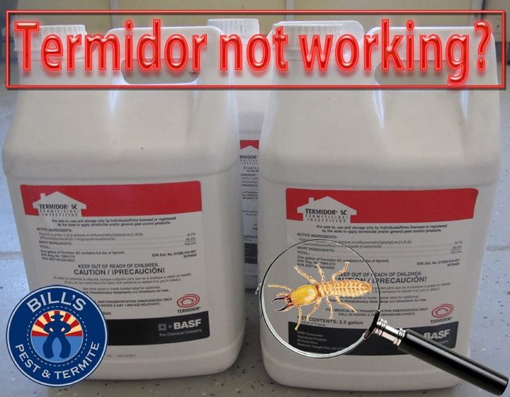 Termidor not working Phoenix Az? (Call the experts!) Bills Termite